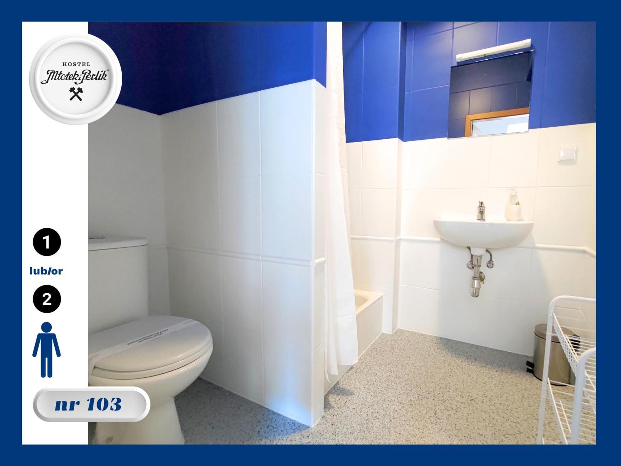 Hostel Mlotek I Perlik Tarnowskie Góry 外观 照片